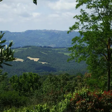 Vecchia Osteria Villa *